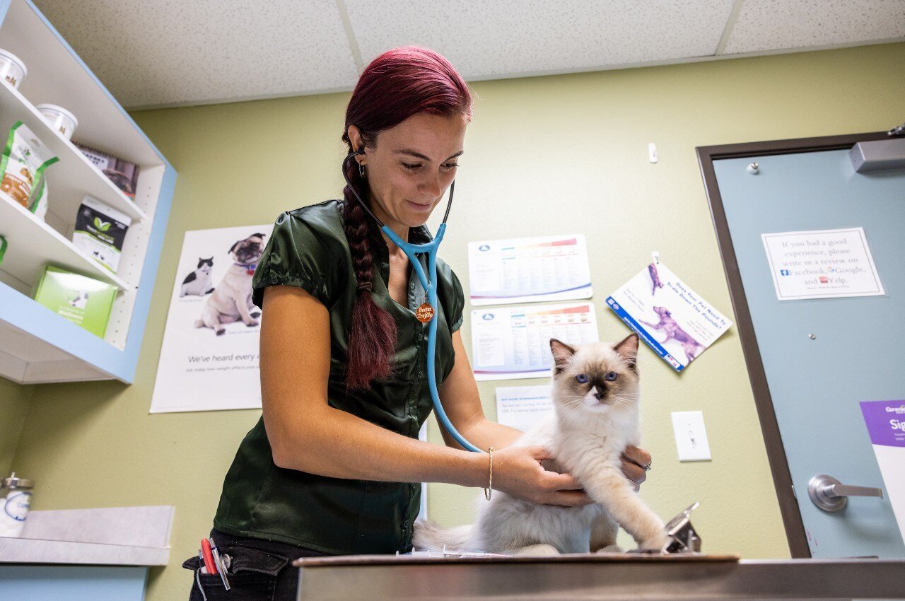 Wellness-Visits-Banner