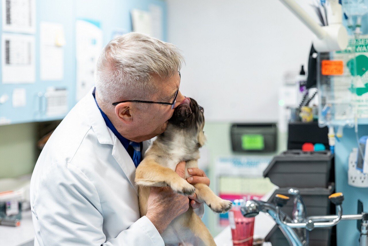 pet-pharmacy-banner-1