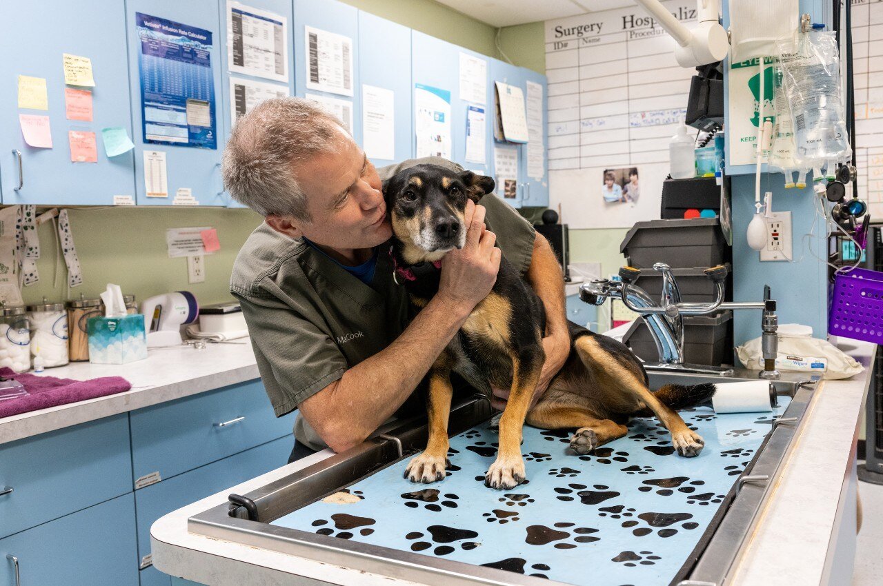 pet-spay-and-neuter-banner