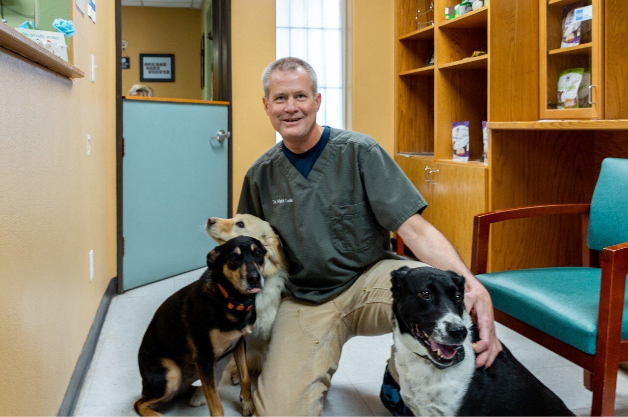 pet-surgery-banner