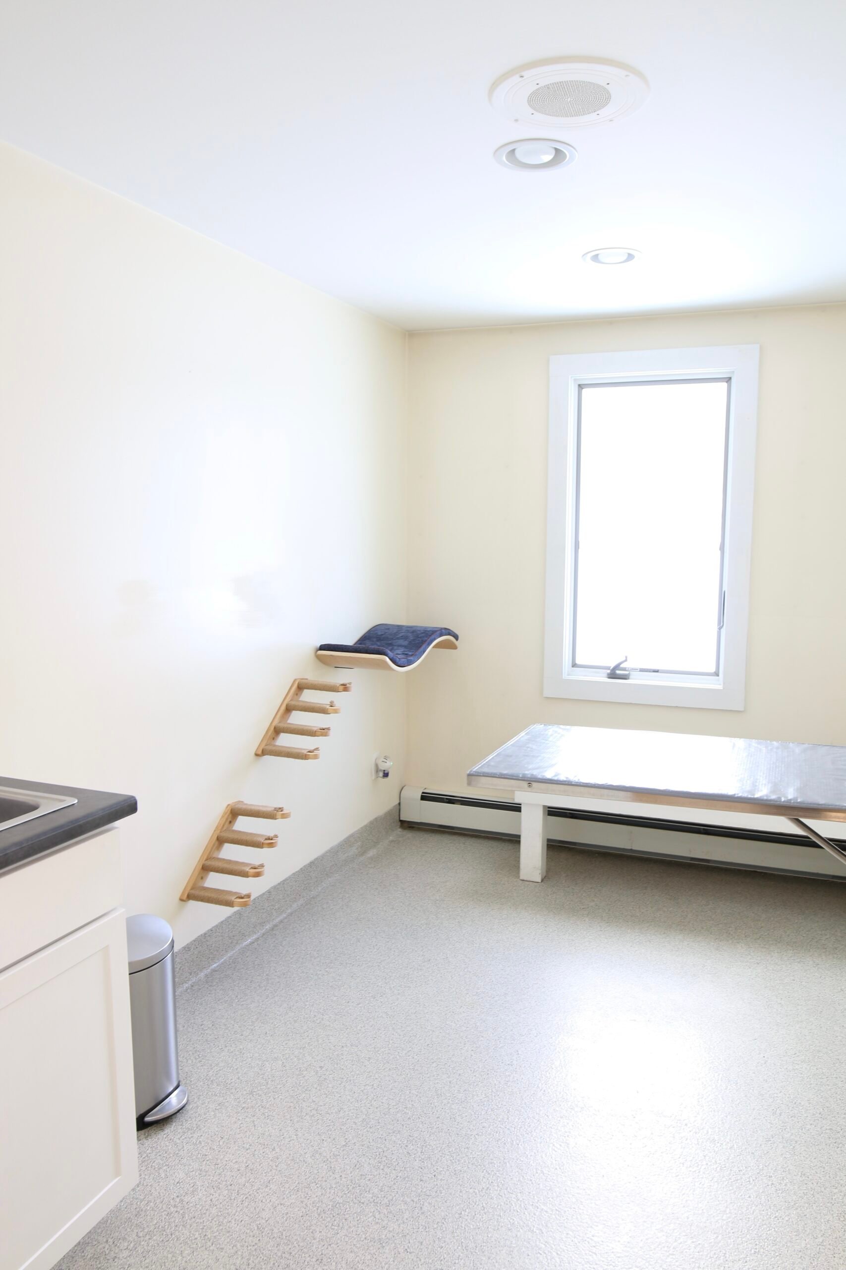 cat-exam-room-scaled